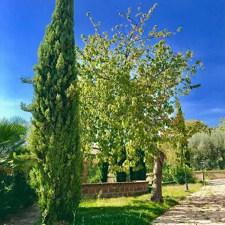 La Torretta Villa Carbognano